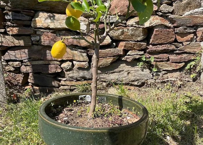 Rustico Diana Mit Garten Und Seeblick 別荘 *